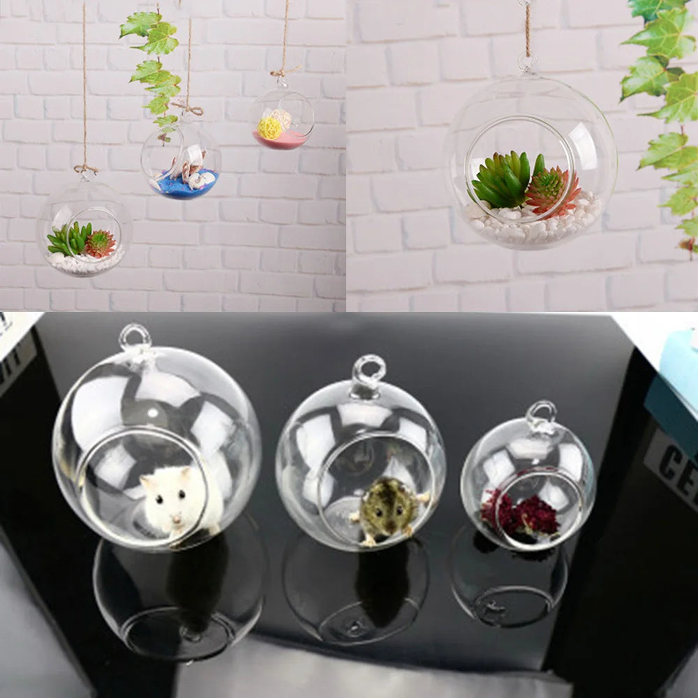 DIY Clear Round Shape Glass Flower Hanging Vase Ball Planter Terrarium Container Landscape Bottles Home Christmas Decor