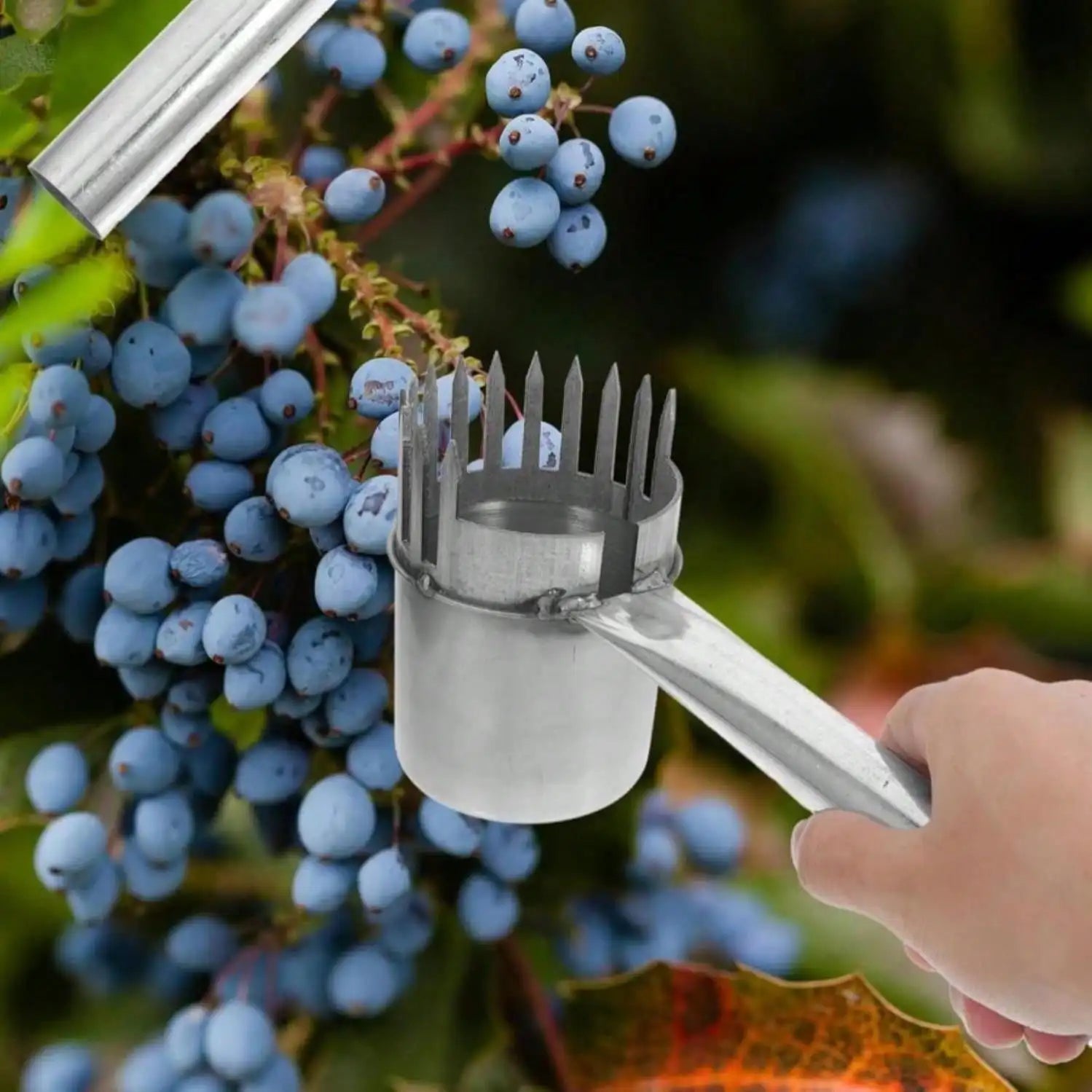 Fruit Picker Tool With Stainless Steel Head For Easy Blueberry And Berry Harvesting Lightweight Garden Hand Tool For Home And Outdoor Use