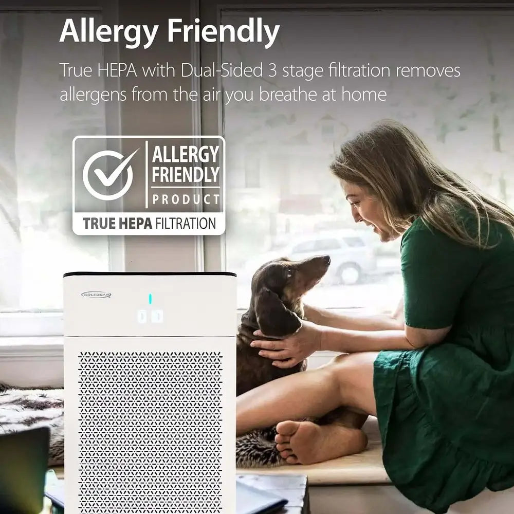 Hospital-Grade Dual HEPA & Carbon Filter Air Purifier with Real-Time Sensor, Quiet Operation for 500 Sq Ft