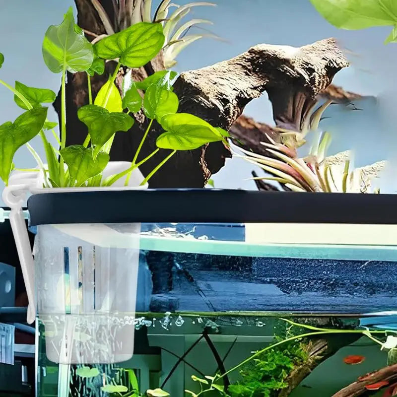 Hanging Aquarium Plant Holder Plastic Aquarium Hooks Planter Cups Planter Baskets Practical Aquatic Pot Box Aquascape Decoration