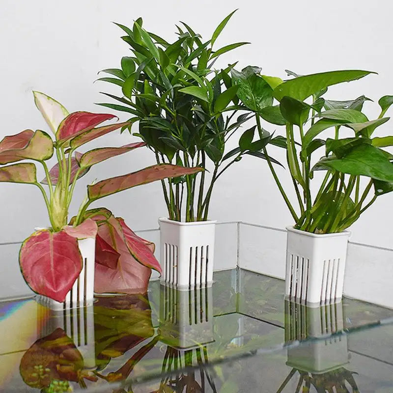 Hanging Aquarium Plant Holder Plastic Aquarium Hooks Planter Cups Planter Baskets Practical Aquatic Pot Box Aquascape Decoration